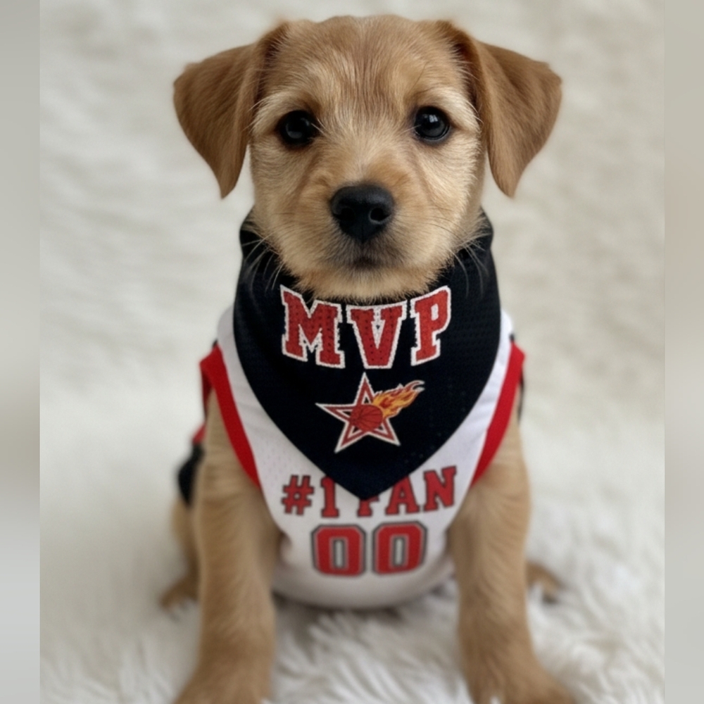 Nwt DOG XS Basketball MVP Jersey + Bandana #1 Fan Costume